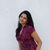 Vimla Raman Hot Photoshoot In Saree Stills | Picture 309267