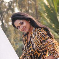 Vimla Raman Hot Photoshoot In Saree Stills | Picture 309269