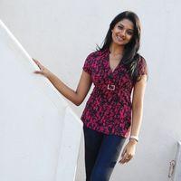 Vimla Raman Hot Photoshoot In Saree Stills | Picture 309273
