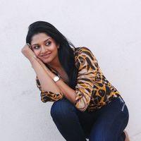 Vimla Raman Hot Photoshoot In Saree Stills | Picture 309282