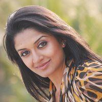 Vimla Raman Hot Photoshoot In Saree Stills | Picture 309284