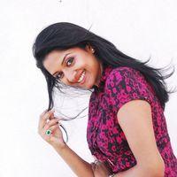 Vimla Raman Hot Photoshoot In Saree Stills | Picture 309287