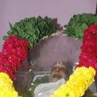 Comedy Actor Loose Mohan Passed Away | Picture 278280