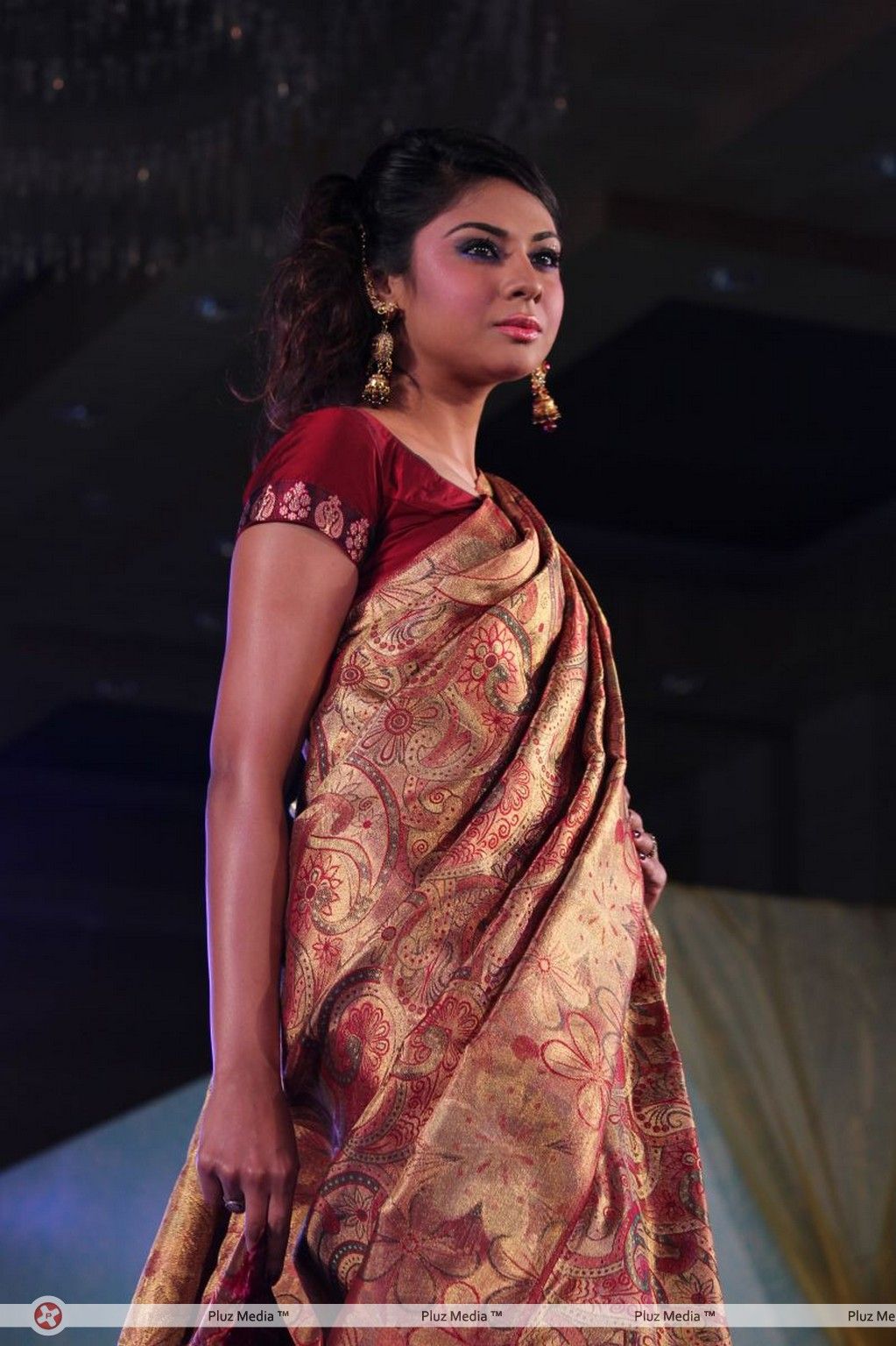 Palam Fashion Show Concept Sarees With Parvathy Omanakuttan Stills | Picture 280527