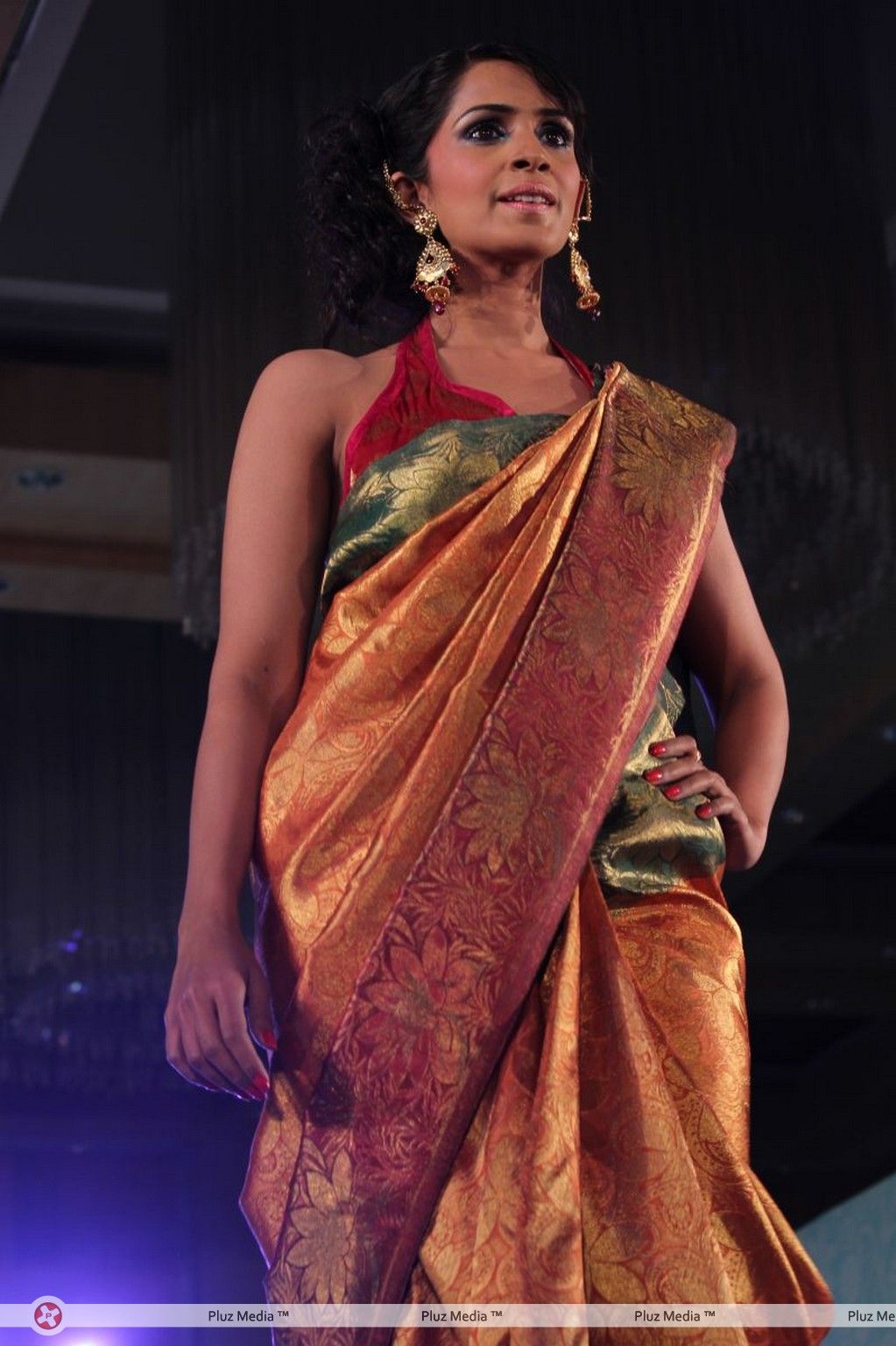 Palam Fashion Show Concept Sarees With Parvathy Omanakuttan Stills | Picture 280534