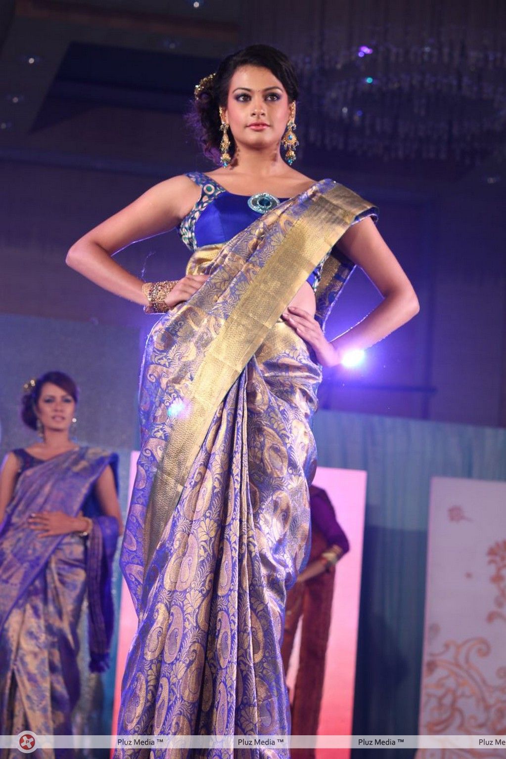 Palam Fashion Show Concept Sarees With Parvathy Omanakuttan Stills | Picture 280536