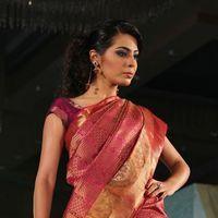 Palam Fashion Show Concept Sarees With Parvathy Omanakuttan Stills | Picture 280485