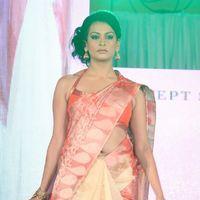 Palam Fashion Show Concept Sarees With Parvathy Omanakuttan Stills | Picture 280487