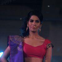 Palam Fashion Show Concept Sarees With Parvathy Omanakuttan Stills | Picture 280488