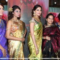 Palam Fashion Show Concept Sarees With Parvathy Omanakuttan Stills | Picture 280489