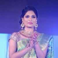 Parvathy Omanakuttan - Palam Fashion Show Concept Sarees With Parvathy Omanakuttan Stills | Picture 280490