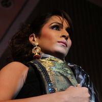 Palam Fashion Show Concept Sarees With Parvathy Omanakuttan Stills | Picture 280492