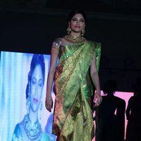Parvathy Omanakuttan - Palam Fashion Show Concept Sarees With Parvathy Omanakuttan Stills | Picture 280514