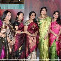 Palam Fashion Show Concept Sarees With Parvathy Omanakuttan Stills | Picture 280515