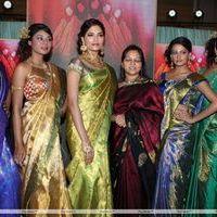 Palam Fashion Show Concept Sarees With Parvathy Omanakuttan Stills | Picture 280517