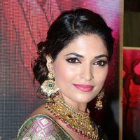 Parvathy Omanakuttan - Palam Fashion Show Concept Sarees With Parvathy Omanakuttan Stills