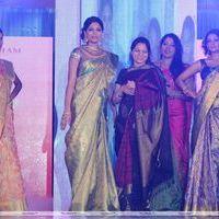 Palam Fashion Show Concept Sarees With Parvathy Omanakuttan Stills | Picture 280526