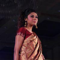 Palam Fashion Show Concept Sarees With Parvathy Omanakuttan Stills | Picture 280527