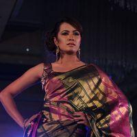 Palam Fashion Show Concept Sarees With Parvathy Omanakuttan Stills | Picture 280531