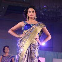 Palam Fashion Show Concept Sarees With Parvathy Omanakuttan Stills | Picture 280536