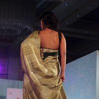 Palam Fashion Show Concept Sarees With Parvathy Omanakuttan Stills