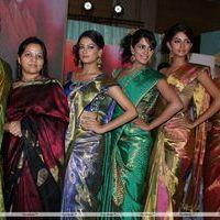 Palam Fashion Show Concept Sarees With Parvathy Omanakuttan Stills | Picture 280546