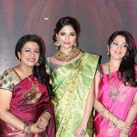 Palam Fashion Show Concept Sarees With Parvathy Omanakuttan Stills | Picture 280547