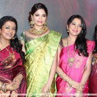 Palam Fashion Show Concept Sarees With Parvathy Omanakuttan Stills | Picture 280566