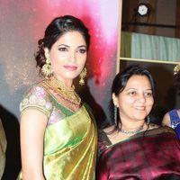 Palam Fashion Show Concept Sarees With Parvathy Omanakuttan Stills | Picture 280568