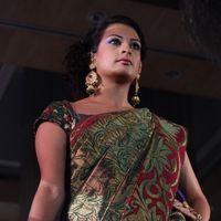 Palam Fashion Show Concept Sarees With Parvathy Omanakuttan Stills | Picture 280573