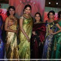 Palam Fashion Show Concept Sarees With Parvathy Omanakuttan Stills | Picture 280576