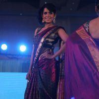 Palam Fashion Show Concept Sarees With Parvathy Omanakuttan Stills | Picture 280577