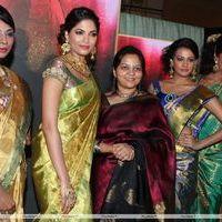 Palam Fashion Show Concept Sarees With Parvathy Omanakuttan Stills | Picture 280586