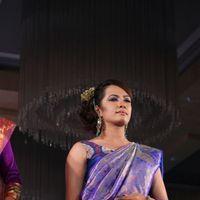 Palam Fashion Show Concept Sarees With Parvathy Omanakuttan Stills | Picture 280589
