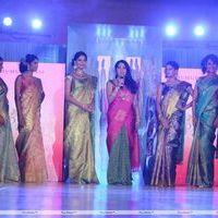 Palam Fashion Show Concept Sarees With Parvathy Omanakuttan Stills | Picture 280597