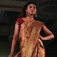 Palam Fashion Show Concept Sarees With Parvathy Omanakuttan Stills | Picture 280602