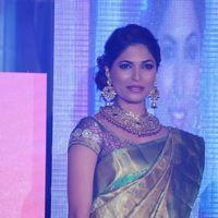 Parvathy Omanakuttan - Palam Fashion Show Concept Sarees With Parvathy Omanakuttan Stills | Picture 280603