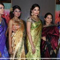 Palam Fashion Show Concept Sarees With Parvathy Omanakuttan Stills | Picture 280605