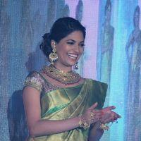 Parvathy Omanakuttan - Palam Fashion Show Concept Sarees With Parvathy Omanakuttan Stills | Picture 280608