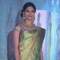 Parvathy Omanakuttan - Palam Fashion Show Concept Sarees With Parvathy Omanakuttan Stills | Picture 280610