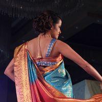 Palam Fashion Show Concept Sarees With Parvathy Omanakuttan Stills | Picture 280612