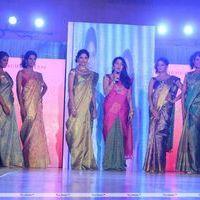 Palam Fashion Show Concept Sarees With Parvathy Omanakuttan Stills | Picture 280617