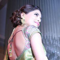 Parvathy Omanakuttan - Palam Fashion Show Concept Sarees With Parvathy Omanakuttan Stills | Picture 280621