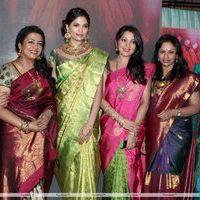 Palam Fashion Show Concept Sarees With Parvathy Omanakuttan Stills | Picture 280625