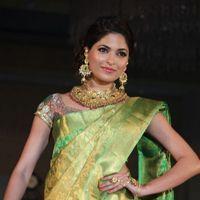 Parvathy Omanakuttan - Palam Fashion Show Concept Sarees With Parvathy Omanakuttan Stills | Picture 280627