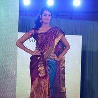 Palam Fashion Show Concept Sarees With Parvathy Omanakuttan Stills | Picture 280628