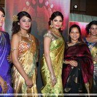 Palam Fashion Show Concept Sarees With Parvathy Omanakuttan Stills | Picture 280632