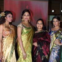 Palam Fashion Show Concept Sarees With Parvathy Omanakuttan Stills | Picture 280638
