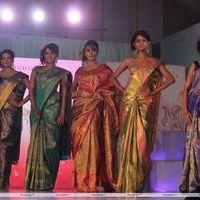 Palam Fashion Show Concept Sarees With Parvathy Omanakuttan Stills | Picture 280639