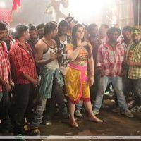 Zarine Khan Hot  at Naan Rajavaga Pogiren Movie  Shooting Spot Stills | Picture 285237